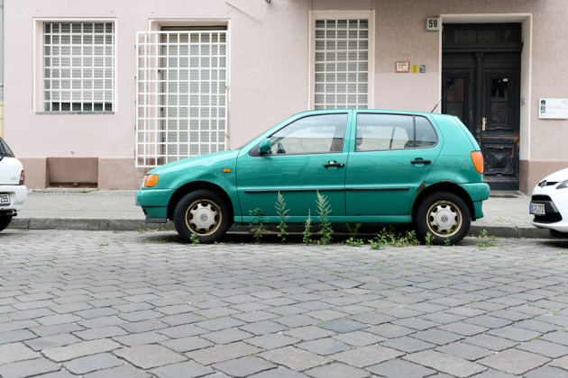 auto grün pflanzen Strasse berlin